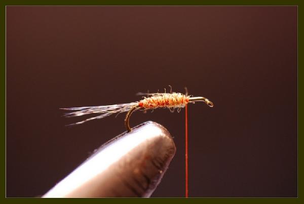 Montage de mouche