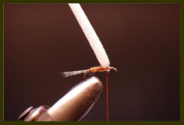 Montage de mouche