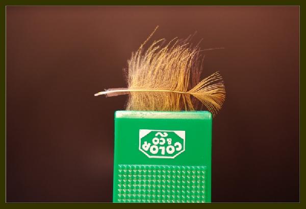 Montage de mouche