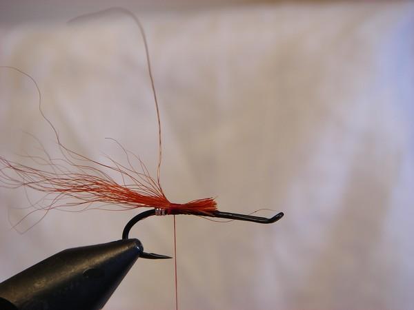 Montage de mouche