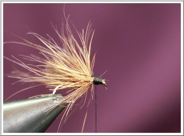 Montage de mouche