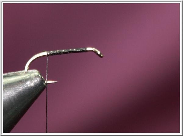 Montage de mouche
