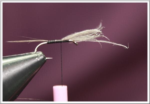 Montage de mouche