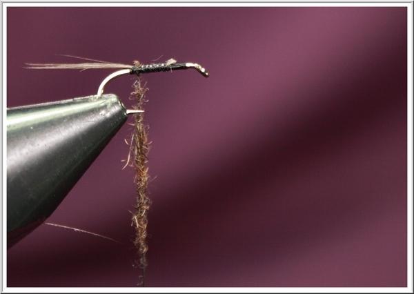 Montage de mouche