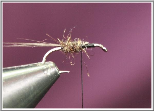 Montage de mouche