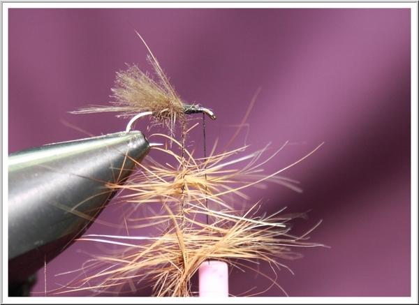 Montage de mouche