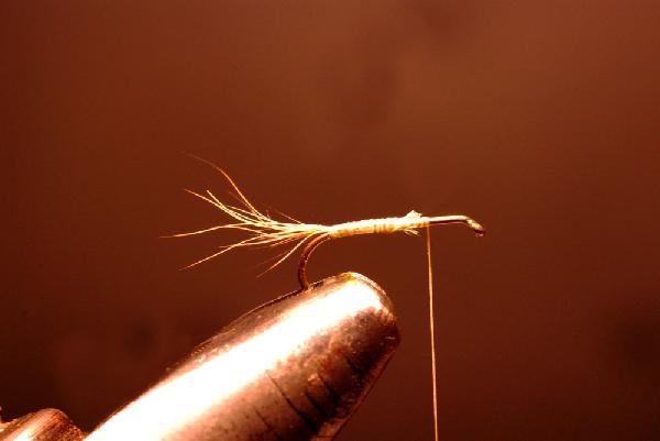 Montage de mouche