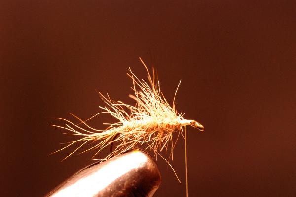 Montage de mouche