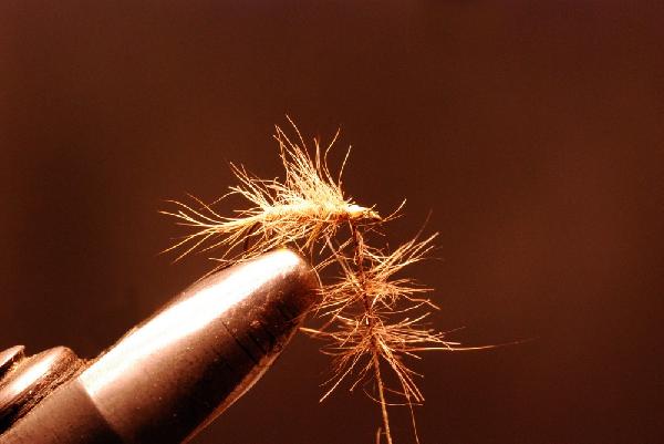 Montage de mouche