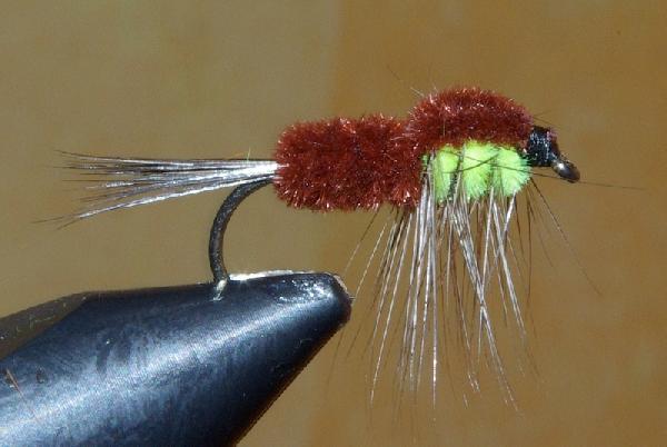 Montage de mouche
