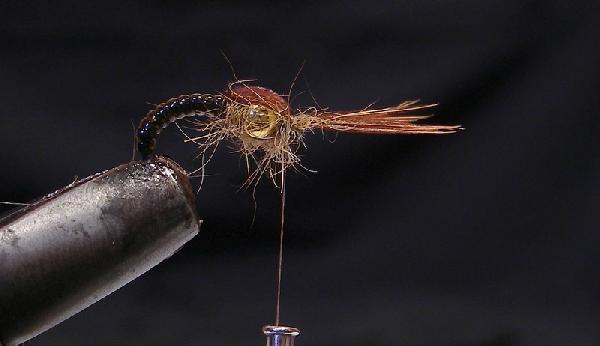 Montage de mouche
