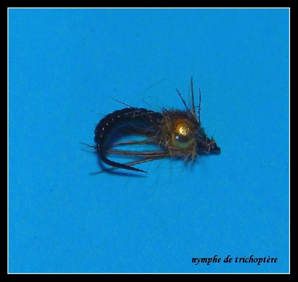 Fiche de montage : Nymphe trichopt�re