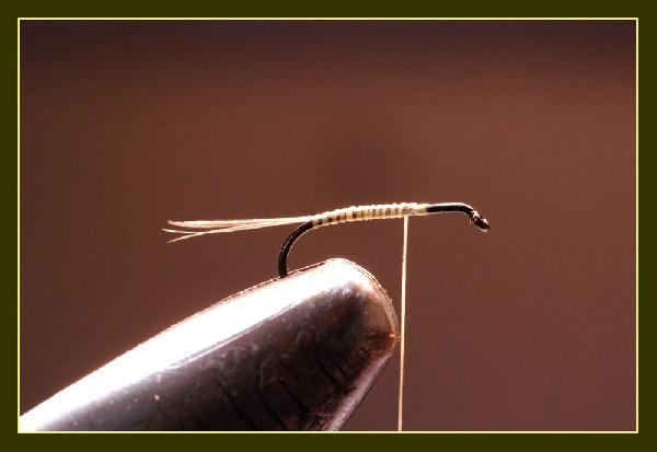 Montage de mouche