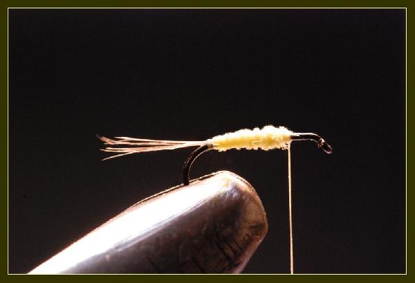 Montage de mouche