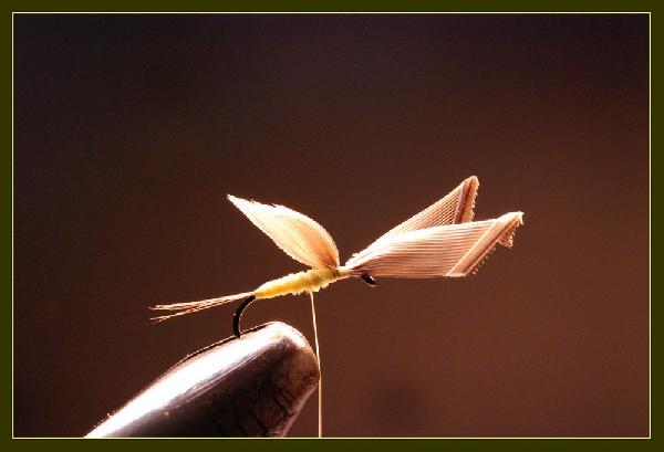 Montage de mouche
