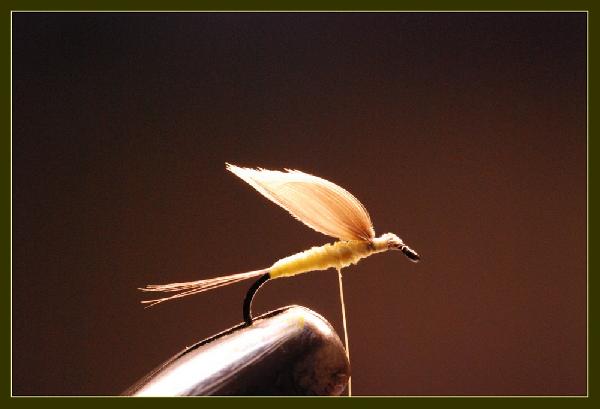 Montage de mouche