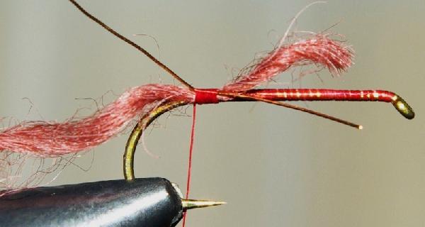 Montage de mouche