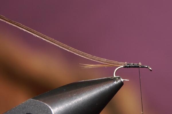 Montage de mouche