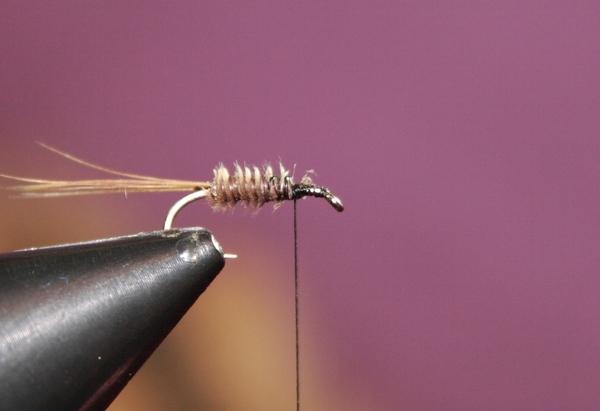 Montage de mouche