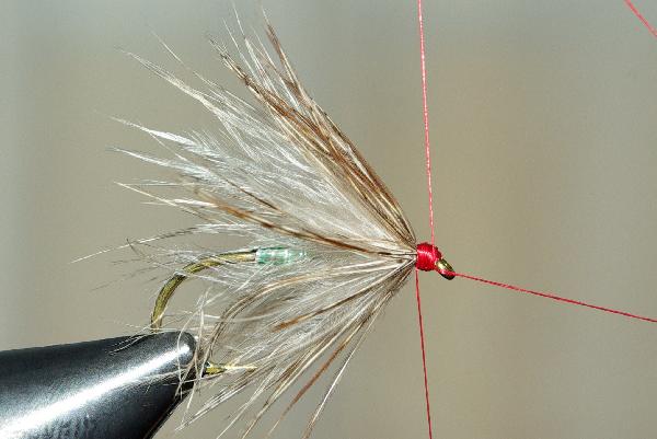 Montage de mouche