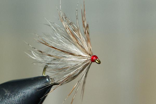 Fiche de montage : Finch