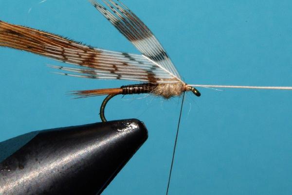 Montage de mouche