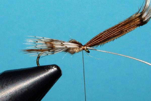 Montage de mouche