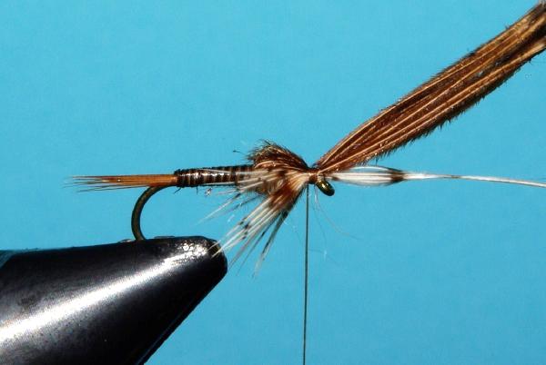 Montage de mouche