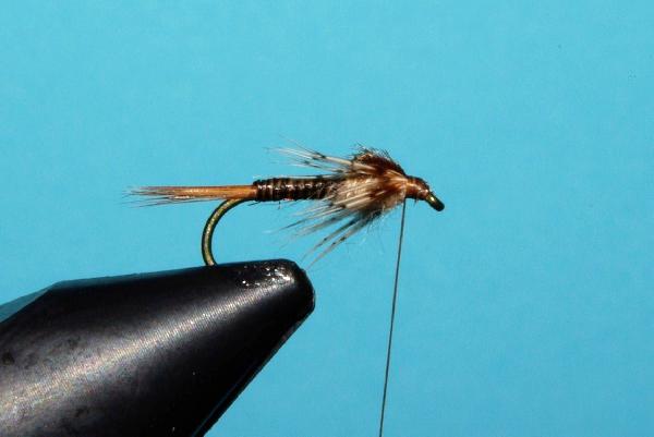 Montage de mouche