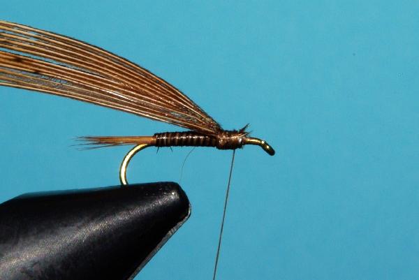 Montage de mouche