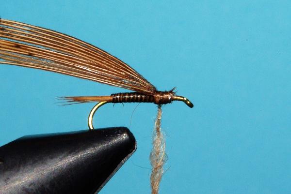 Montage de mouche