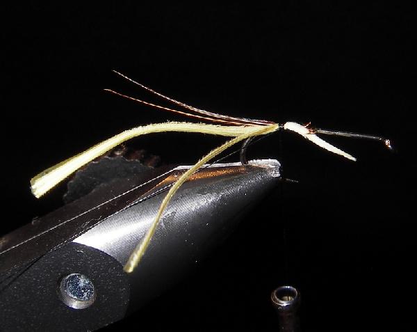 Montage de mouche