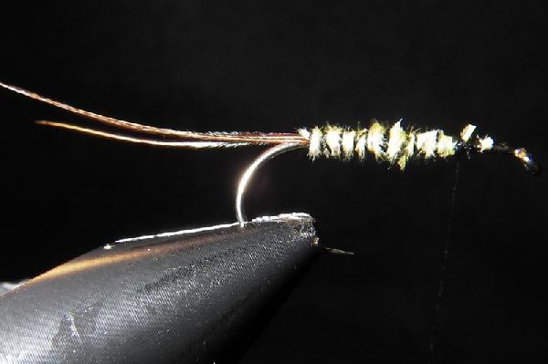 Montage de mouche