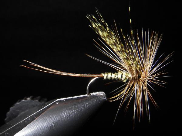 Fiche de montage : Mouche de mai