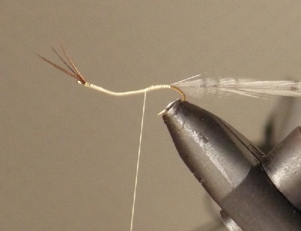 Montage de mouche