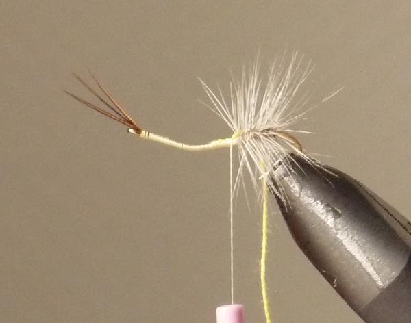Montage de mouche