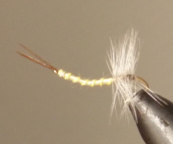 Montage de mouche