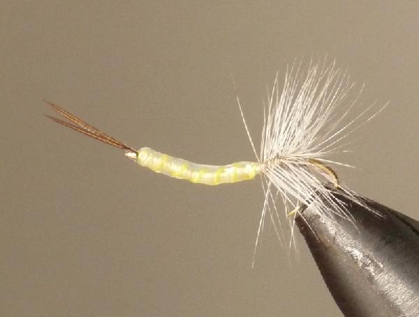 Fiche de montage : Mouche de mai inversée