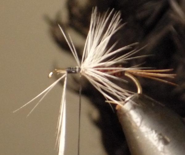 Montage de mouche