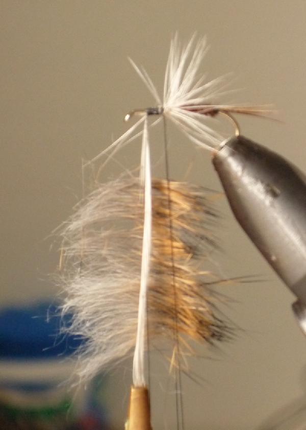 Montage de mouche