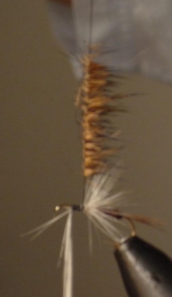 Montage de mouche