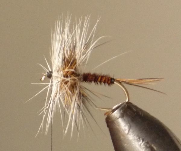 Montage de mouche