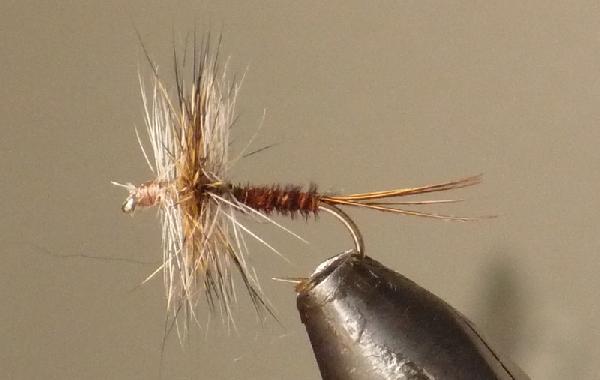 Montage de mouche