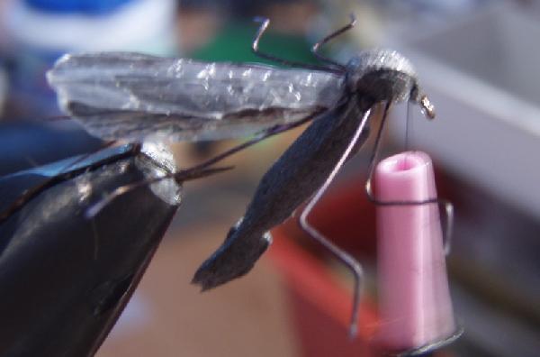Montage de mouche