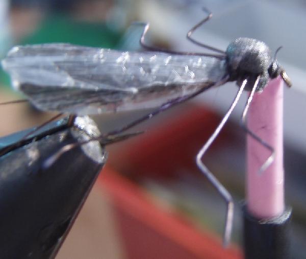 Montage de mouche