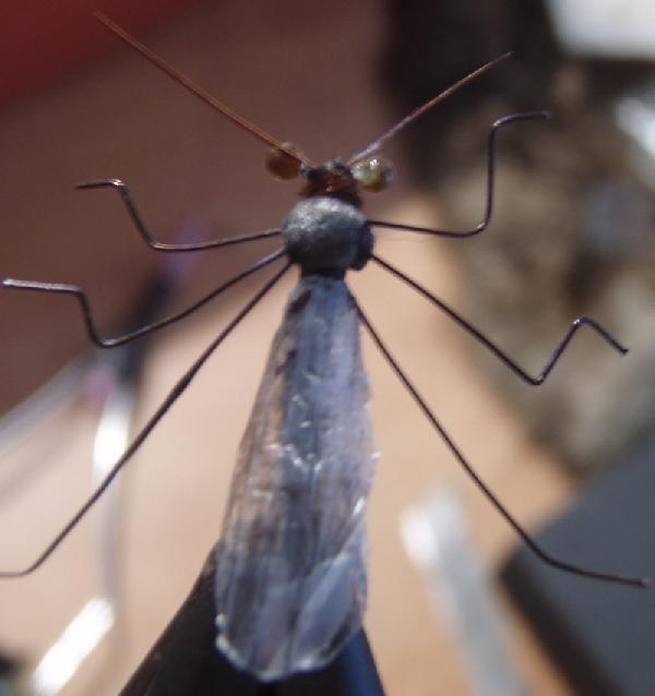 Montage de mouche