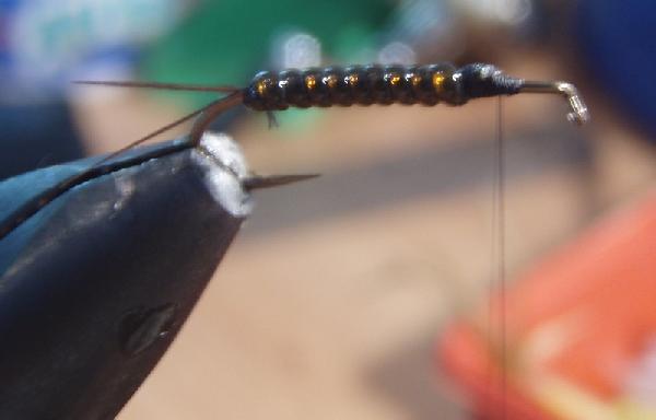 Montage de mouche