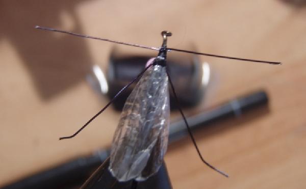Montage de mouche
