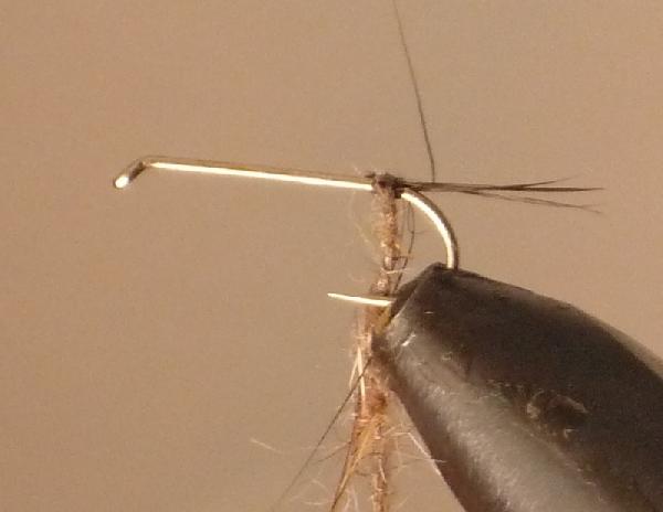 Montage de mouche