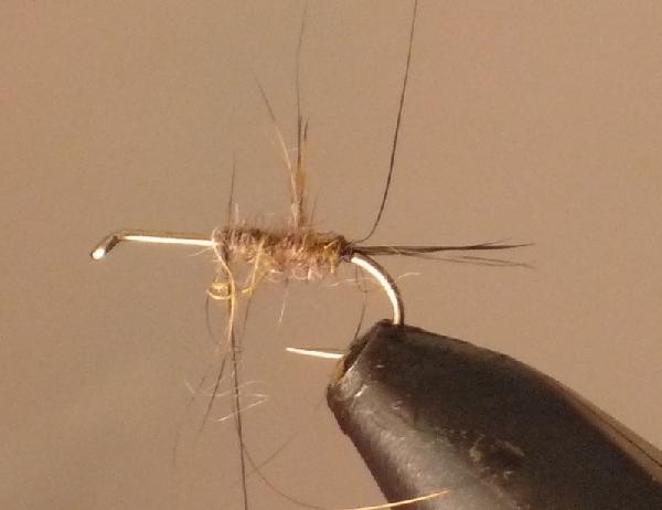 Montage de mouche